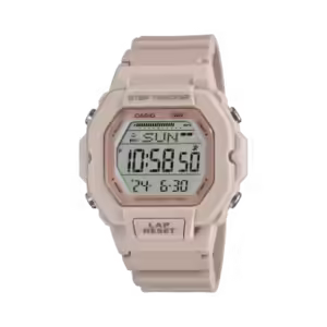CASIO D317