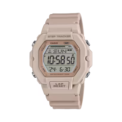 CASIO D317
