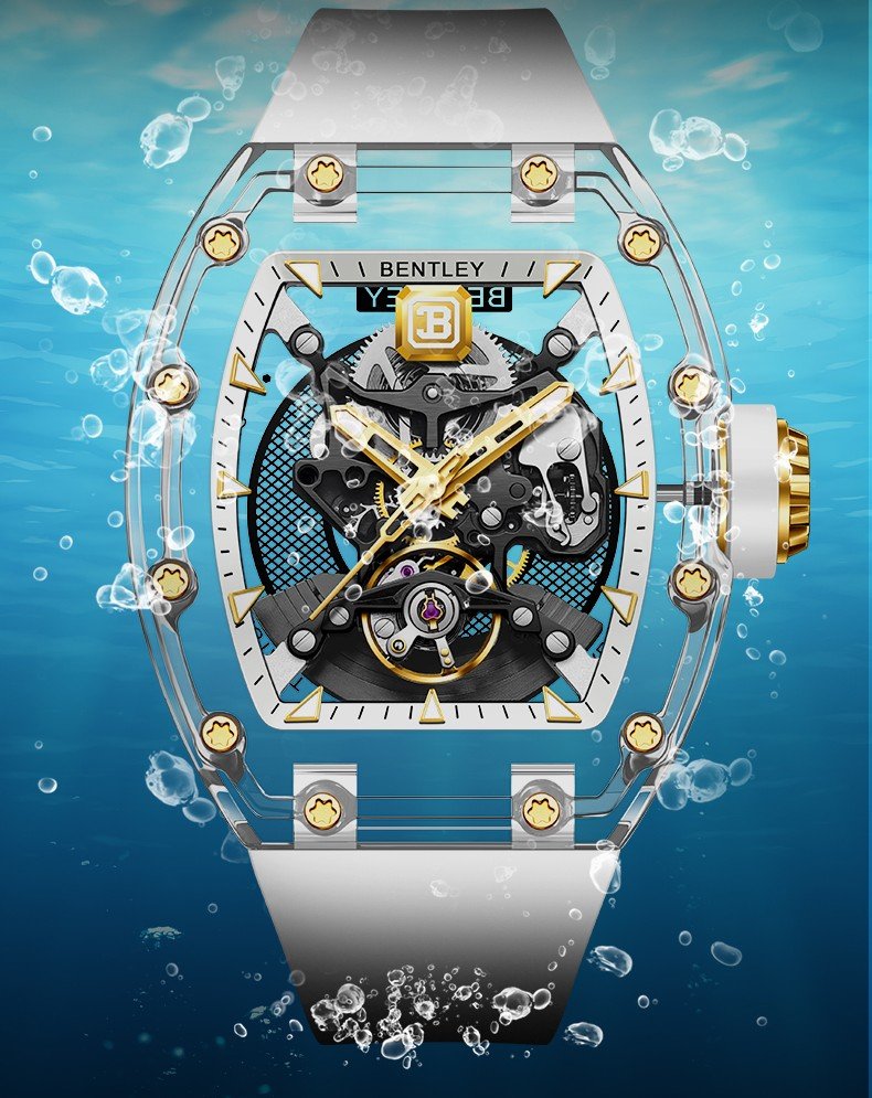 BENTLEY BL-70-62 - Image 3